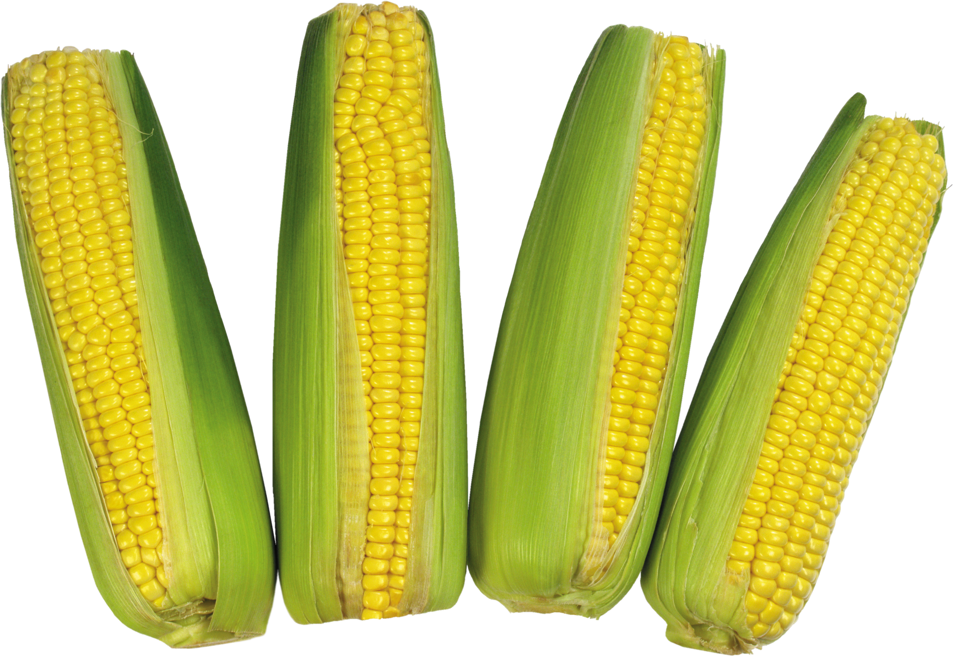 Corn